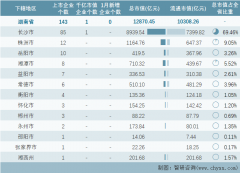 2024年1月湖南省143家A股上市企业总市值1287045亿元